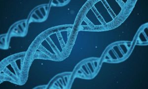 Genomics image